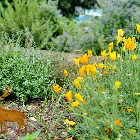 Bed & Breakfast Cerf, Ouvre-moi Rochefort