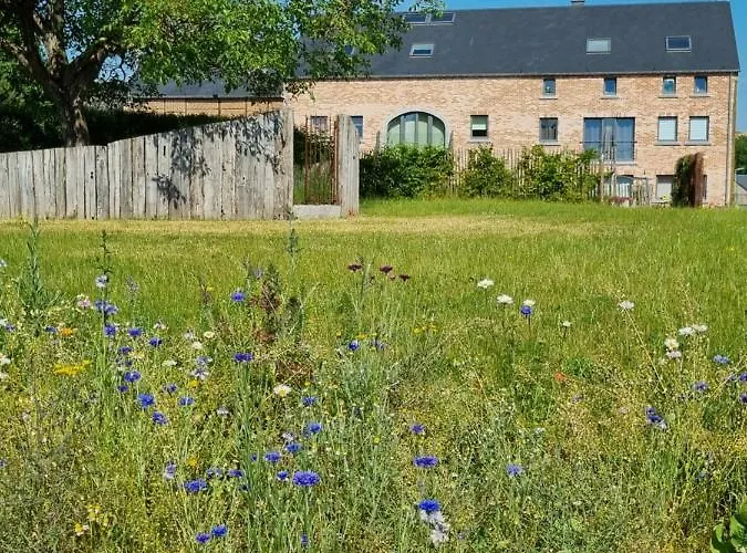 Cerf, Ouvre-moi Bed & Breakfast Rochefort