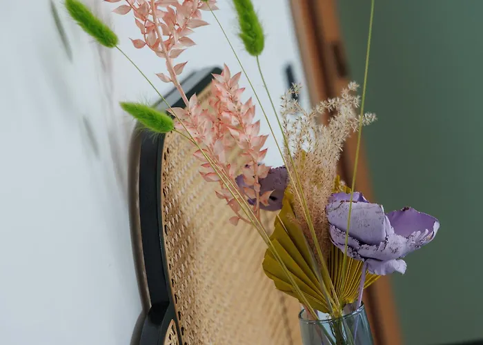 Bed & Breakfast Cerf, Ouvre-moi